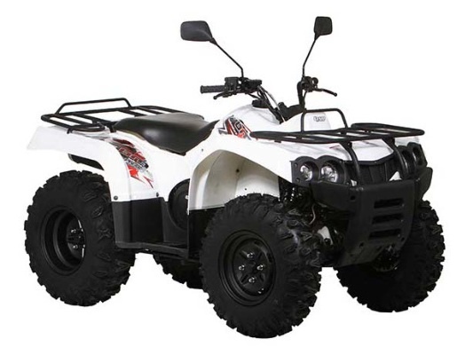 Фото квадроцикла Baltmotors ATV 400 EFI
